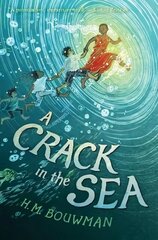 Crack in the Sea hind ja info | Noortekirjandus | kaup24.ee