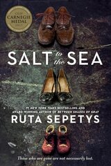 Salt to the Sea hind ja info | Noortekirjandus | kaup24.ee