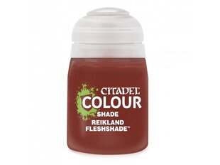 Citadel - Reikland Fleshshade (shade) akrüülvärv, 24ml, 24-24 hind ja info | Kunstitarbed, voolimise tarvikud | kaup24.ee