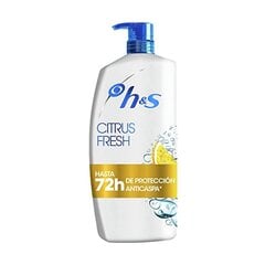 Kõõmavastane šampoon Head & Shoulders Citrus Fresh Rasused juuksed (900 ml) цена и информация | Шампуни | kaup24.ee