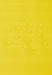 Reima laste vihmamantel Pisaroi 521647A*2350, kollane hind ja info | Tüdrukute joped ja mantlid | kaup24.ee