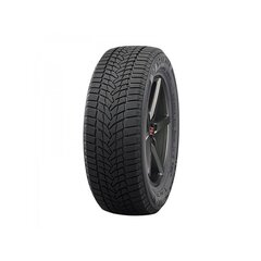 Ламельная резина Nankang 205/55R16 ICE-2 C/C/B 94T XL цена и информация | Зимние шины | kaup24.ee