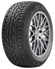 Riken SUV SNOW 215/70R16 100 H hind ja info | Talverehvid | kaup24.ee