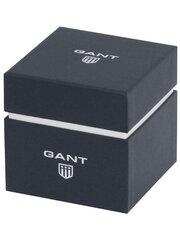 Часы Gant Park Hill Day-Date II-IPG G121005 G121005 цена и информация | Мужские часы | kaup24.ee