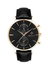 Часы Gant Park Hill Day-Date II-IPG G121005 G121005 цена и информация | Мужские часы | kaup24.ee