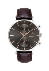 Мужские часы Gant Park Hill Day-Date II G121007 G121007 цена и информация | Мужские часы | kaup24.ee