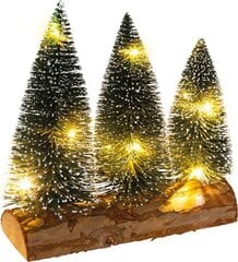 Valgusega dekoratsioon Jõulupuu, 10 LED hind ja info | Jõulukaunistused | kaup24.ee