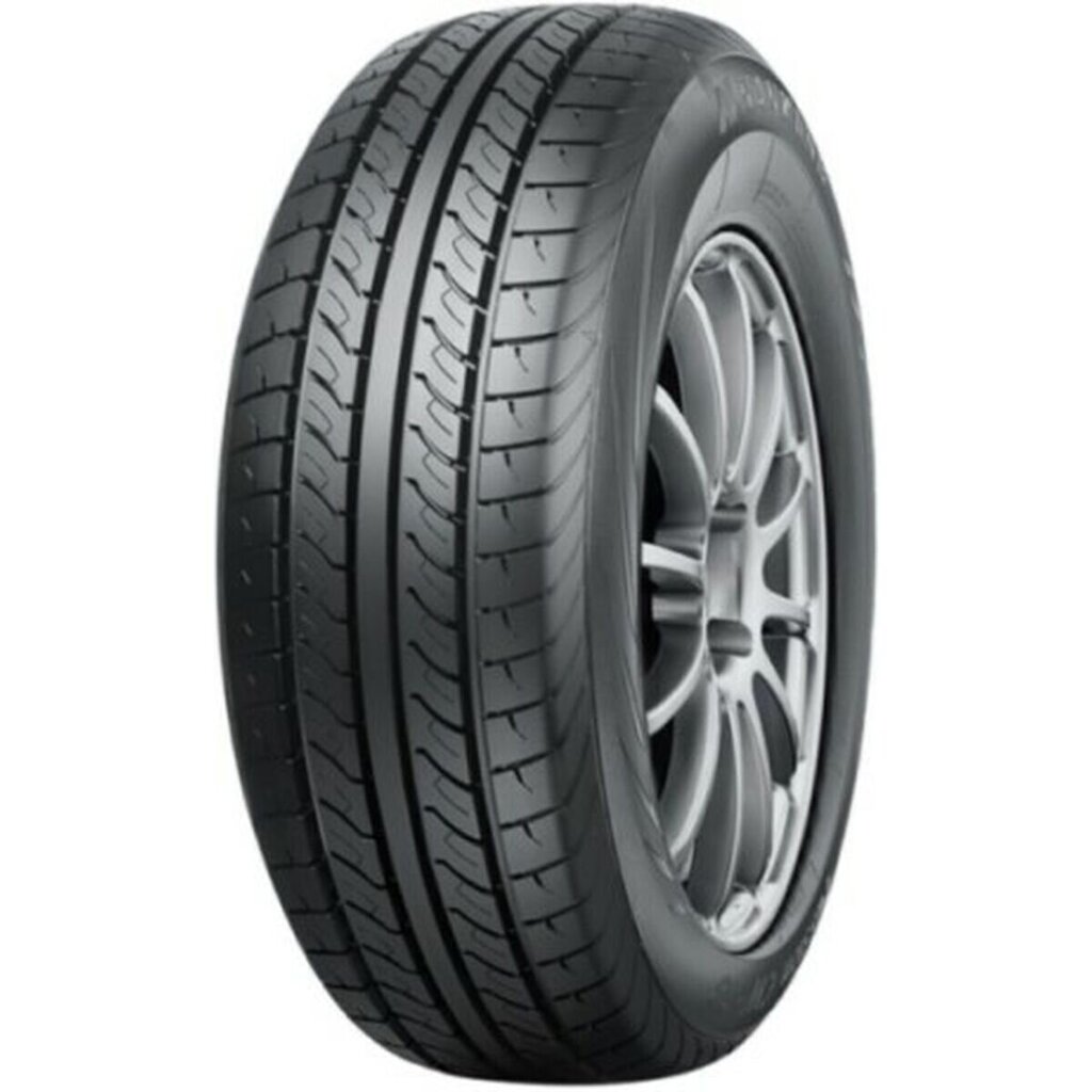 Nankang CW-20 PASSIO 205/65R15C hind ja info | Suverehvid | kaup24.ee