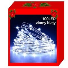 100 LED valguskett - külm valge цена и информация | Гирлянды | kaup24.ee