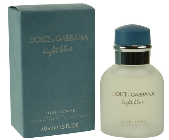 Dolce & Gabbana Light Blue Pour Homme EDT meestele 40 ml цена и информация | Meeste parfüümid | kaup24.ee