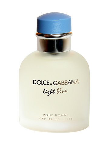 Dolce & Gabbana Light Blue Pour Homme EDT meestele 40 ml цена и информация | Meeste parfüümid | kaup24.ee