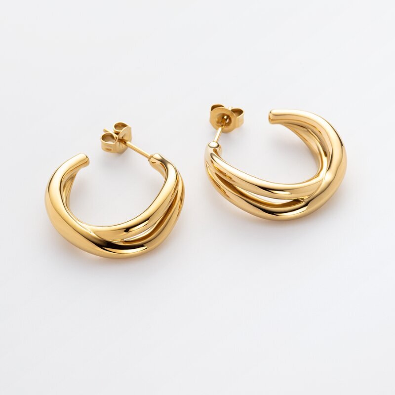 Kuldsed kõrvarõngad Paul Hewitt Waves Earring Gold PH-JE-0175 PH-JE-0175 hind ja info | Kõrvarõngad | kaup24.ee