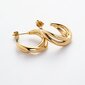 Kuldsed kõrvarõngad Paul Hewitt Waves Earring Gold PH-JE-0175 PH-JE-0175 hind ja info | Kõrvarõngad | kaup24.ee