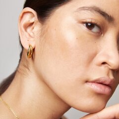 Kuldsed kõrvarõngad Paul Hewitt Waves Earring Gold PH-JE-0175 PH-JE-0175 цена и информация | Серьги | kaup24.ee