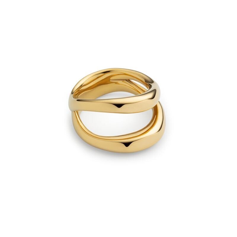 Kuldne sõrmus Paul Hewitt Waves Ring Gold PH-JE-0205-58 PH-JE-0205-58 hind ja info | Sõrmused | kaup24.ee