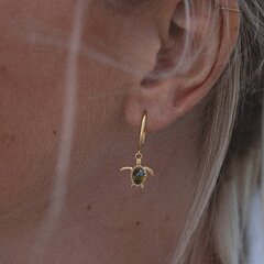 Kuldsed kõrvarõngad Paul Hewitt Turtle Hoops Earring Gold PH-JE-0180 PH-JE-0180 цена и информация | Серьги | kaup24.ee