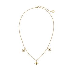 Kuldne kaelakee Paul Hewitt Turtle Necklace Gold PH-JE-0155 PH-JE-0155 цена и информация | Украшения на шею | kaup24.ee