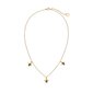 Kuldne kaelakee Paul Hewitt Turtle Necklace Gold PH-JE-0155 PH-JE-0155 цена и информация | Kaelakeed | kaup24.ee