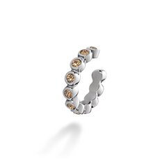 Paul Hewitt RAINBOW Stones Earcuff PH003677 PH003677 hind ja info | Kõrvarõngad | kaup24.ee