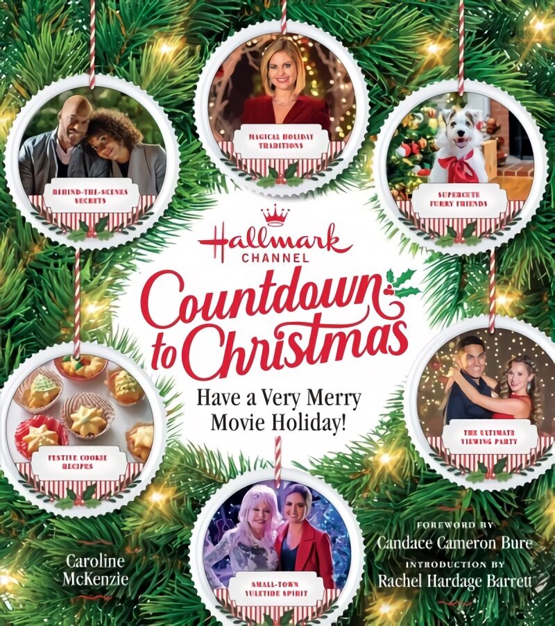 Hallmark Channel Countdown to Christmas - USA TODAY BESTSELLER: Have a Very Merry Movie Holiday цена и информация | Retseptiraamatud  | kaup24.ee