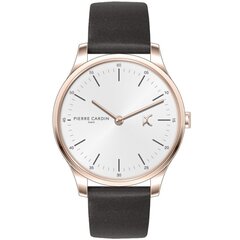 Meeste käekell Pierre Cardin BASTILLE City CBA.4006 CBA.4006 цена и информация | Мужские часы | kaup24.ee