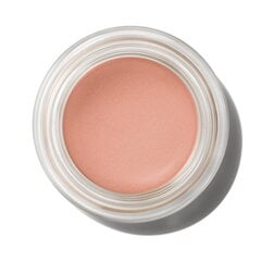 Kauapüsiv kreemjas lauvärv MAC Pro Longwear Paint Pot 5 g, Layin´Low цена и информация | Тушь, средства для роста ресниц, тени для век, карандаши для глаз | kaup24.ee