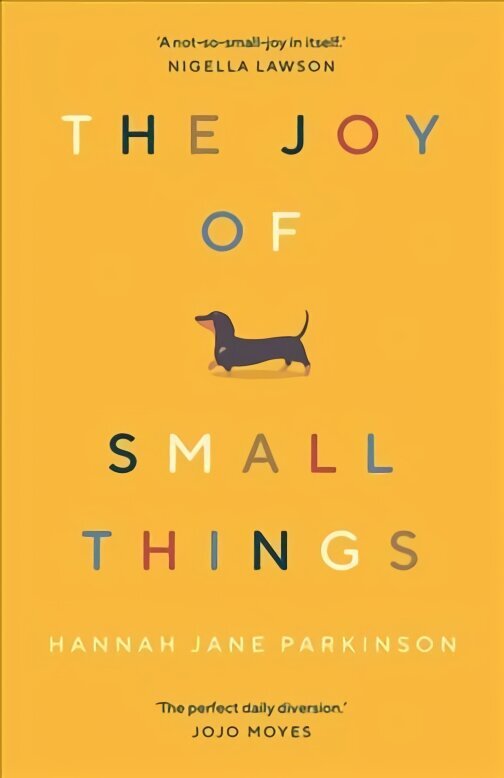 Joy of Small Things: 'A not-so-small joy in itself.' Nigella Lawson Main hind ja info | Ühiskonnateemalised raamatud | kaup24.ee