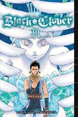 Black Clover, Vol. 30: Volume 30 цена и информация | Фантастика, фэнтези | kaup24.ee