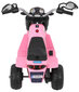 Elektriline mootorratas MiniBike, roosa hind ja info | Laste elektriautod | kaup24.ee