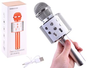 Traadita mikrofon, hõbedane hind ja info | Arendavad mänguasjad | kaup24.ee