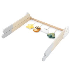 Puidust statiiv Viga PolarB Baby Play Gym hind ja info | Imikute mänguasjad | kaup24.ee