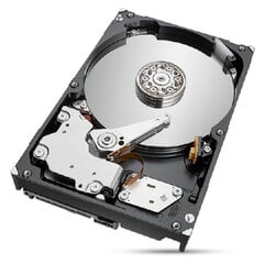 Жесткий диск Seagate ST2000NT001 3,5" 2000 GB цена и информация | Внутренние жёсткие диски (HDD, SSD, Hybrid) | kaup24.ee