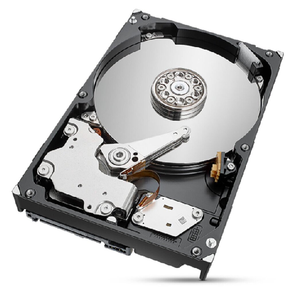 Seagate ST2000NT001 hind ja info | Sisemised kõvakettad (HDD, SSD, Hybrid) | kaup24.ee