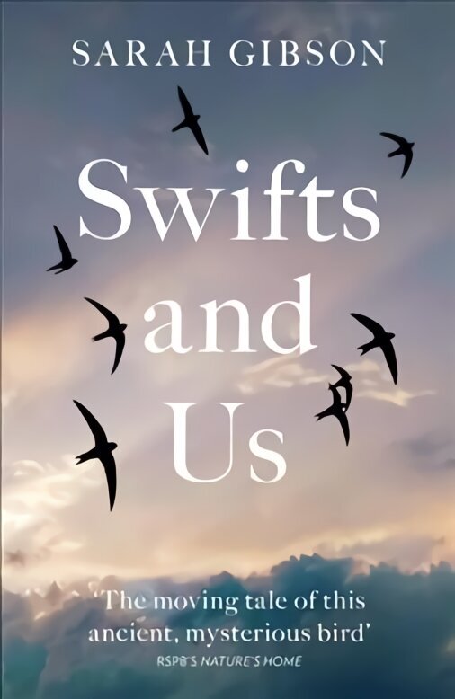 Swifts and Us: The Life of the Bird That Sleeps in the Sky hind ja info | Ühiskonnateemalised raamatud | kaup24.ee