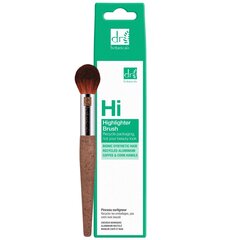 Meigipintsel Dr. Botanicals, 1 tk. цена и информация | Кисти для макияжа, спонжи | kaup24.ee