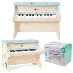 Классическое мировое фортепиано цена и информация | Развивающие игрушки | kaup24.ee