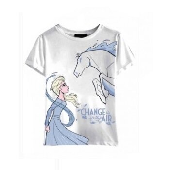 Laste t-särk Disney Frozen (2-pakk) цена и информация | Tüdrukute särgid | kaup24.ee