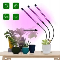 Лампа для растений, 3x 40Вт цена и информация | Проращиватели, лампы для растений | kaup24.ee