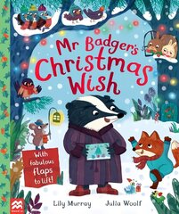 Mr Badger's Christmas Wish цена и информация | Книги для малышей | kaup24.ee