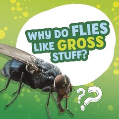 Why Do Flies Like Gross Stuff? цена и информация | Книги для подростков и молодежи | kaup24.ee