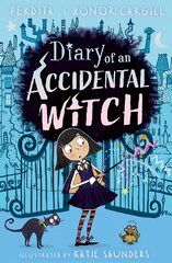 Diary of an Accidental Witch цена и информация | Книги для подростков и молодежи | kaup24.ee