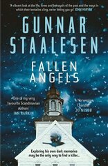 Fallen Angels цена и информация | Фантастика, фэнтези | kaup24.ee