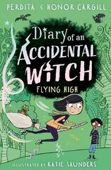 Diary of an Accidental Witch: Flying High цена и информация | Книги для подростков и молодежи | kaup24.ee