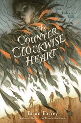 Counterclockwise Heart цена и информация | Книги для подростков и молодежи | kaup24.ee