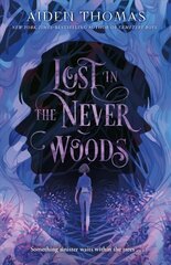 Lost in the Never Woods цена и информация | Книги для подростков и молодежи | kaup24.ee