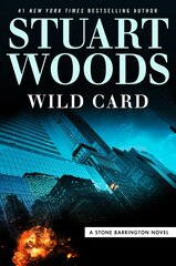 Wild Card цена и информация | Фантастика, фэнтези | kaup24.ee