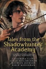 Tales from the Shadowhunter Academy hind ja info | Noortekirjandus | kaup24.ee