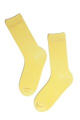 Носки мужские Sokisahtel 40-45 цена и информация | Мужские носки | kaup24.ee