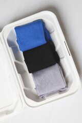 Мужские носки в подарочной коробке TAUNO (3 пары), цвета: синий, черный, серый QREAU0MHM5 цена и информация | Мужские носки | kaup24.ee