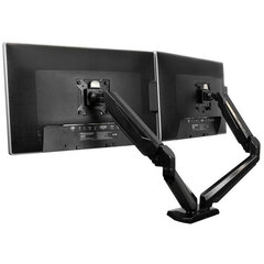 Startech armslimduo, Vesa 100, 12-30" hind ja info | Monitori hoidjad | kaup24.ee